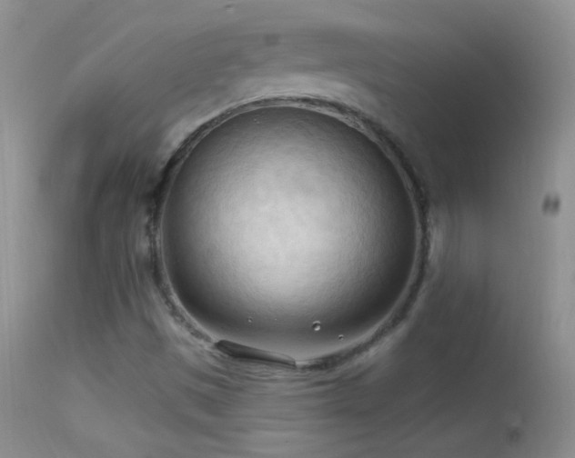 X0000114631497200910201408