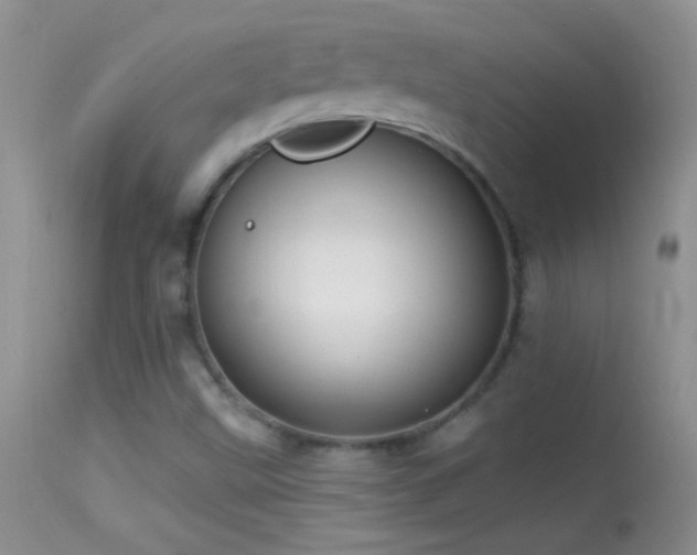 X0000114631499200910201408