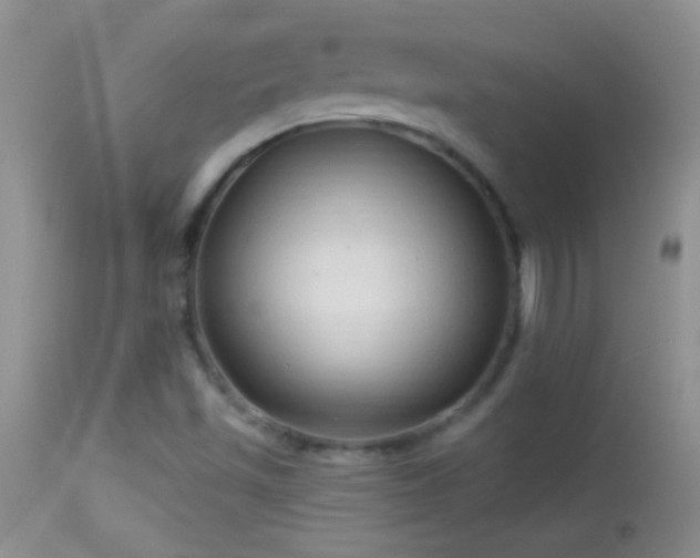 X0000114631501200910201408