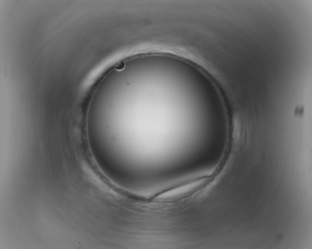 X0000114631502200910201408