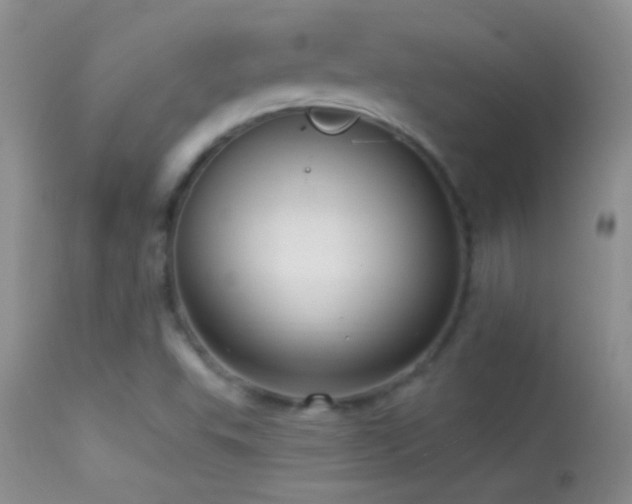 X0000114631503200910201408