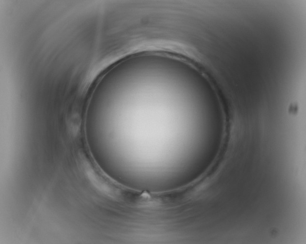 X0000114631505200910201408