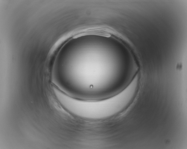 X0000114631506200910201408