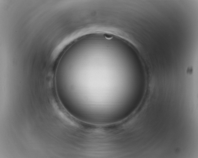 X0000114631507200910201408