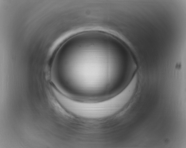 X0000114631510200910201408