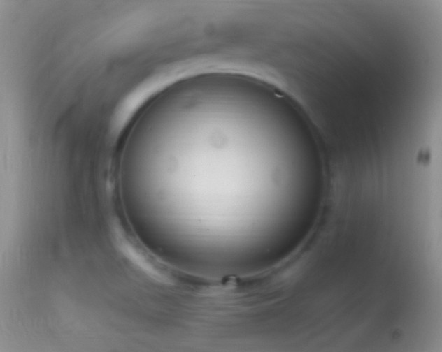 X0000114631511200910201408