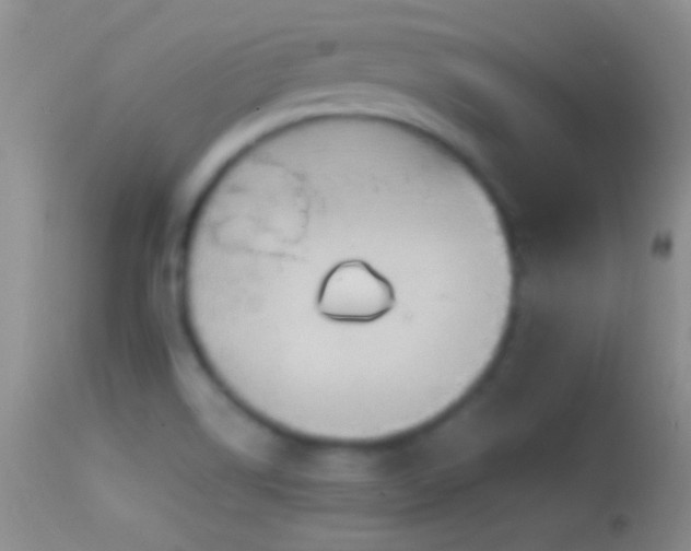 X0000114631514200910201408