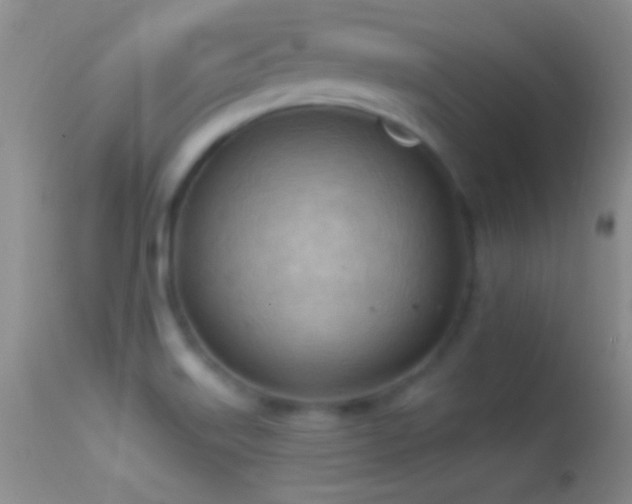 X0000114631515200910201408