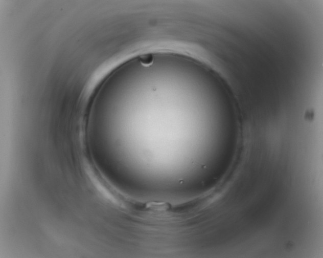 X0000114631517200910201408