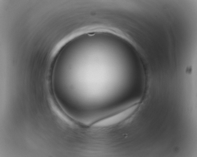 X0000114631518200910201408