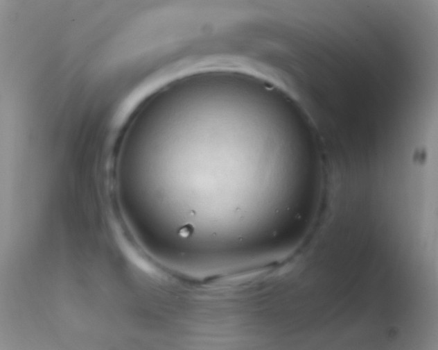 X0000114631519200910201408