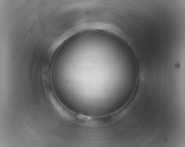 X0000114631521200910201408