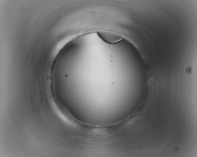 X0000114631523200910201408