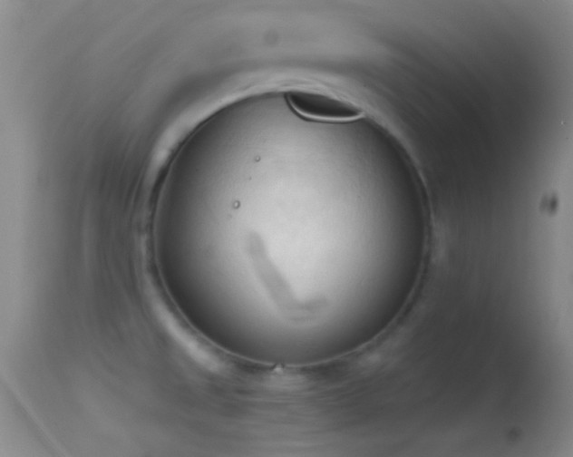 X0000114631525200910201408