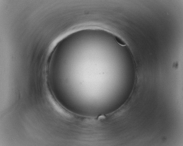 X0000114631526200910201408