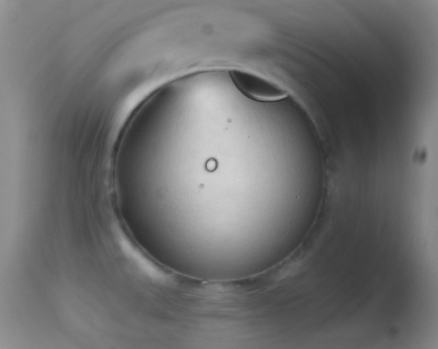 X0000114631527200910201408