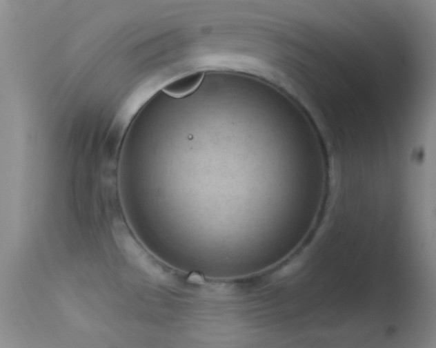 X0000114631529200910201408