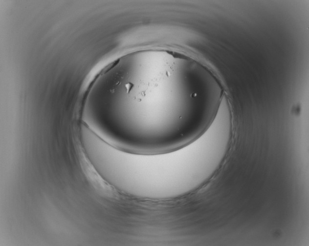 X0000114631530200910201408