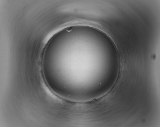 X0000114631531200910201408