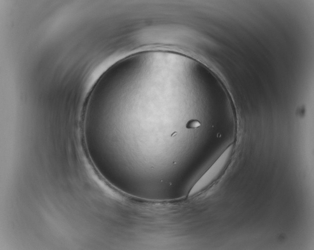 X0000114631533200910201408