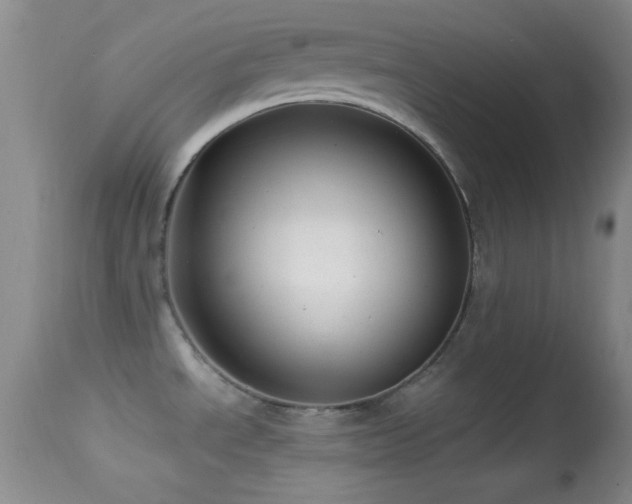 X0000114631534200910201408