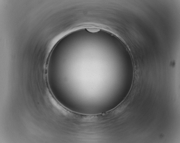 X0000114631535200910201408