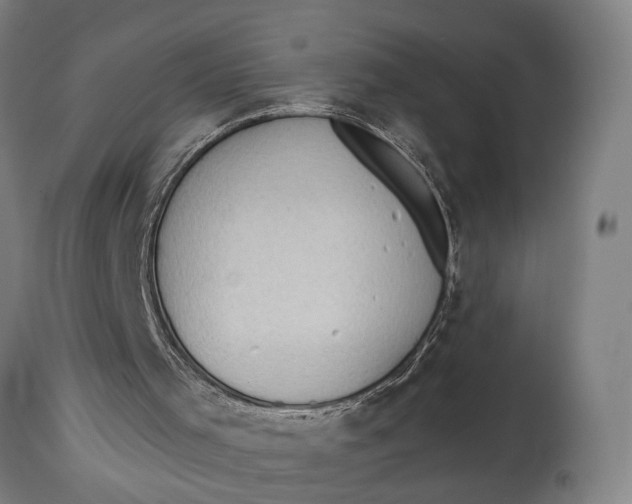 X0000114630001200911101246