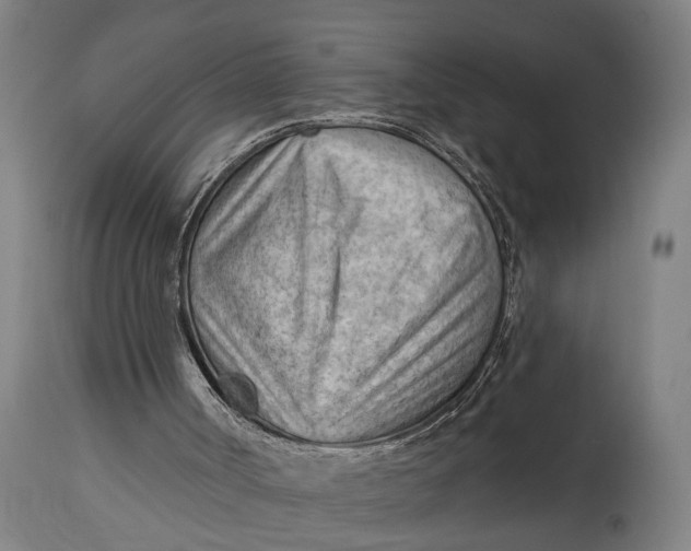 X0000114630002200911101246