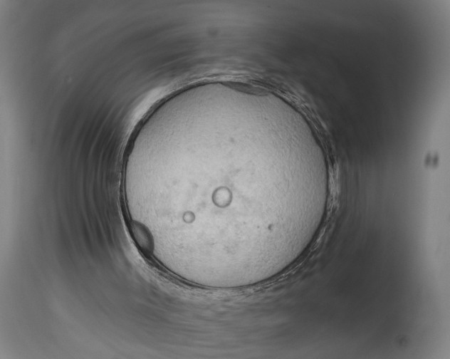 X0000114630003200911101246