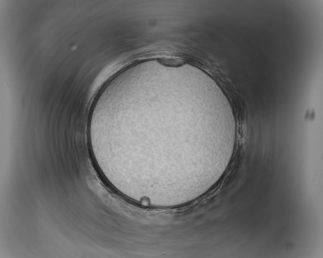 X0000114630004200911101246