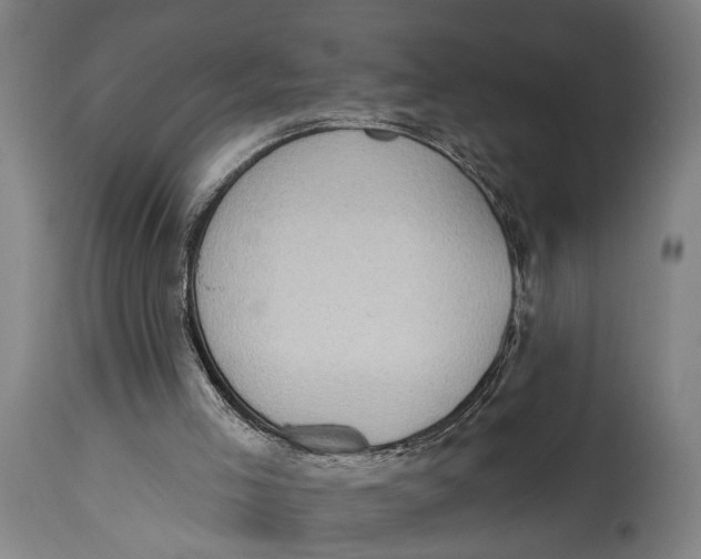 X0000114630005200911101246