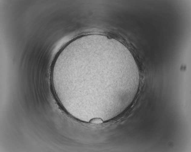 X0000114630006200911101246