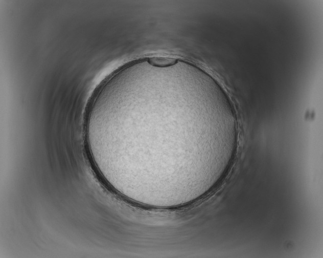 X0000114630008200911101246