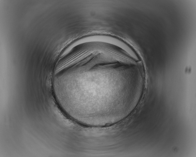 X0000114630009200911101246