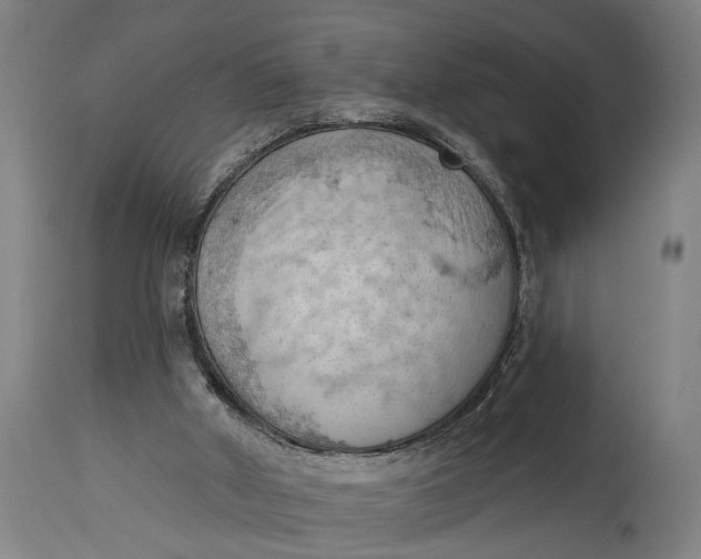 X0000114630010200911101246