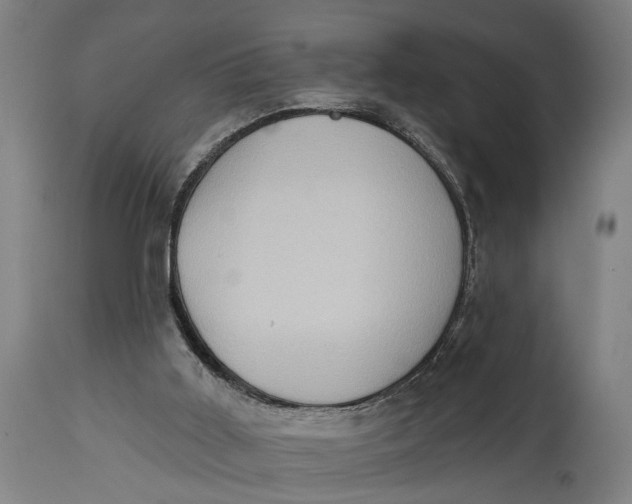 X0000114630011200911101246