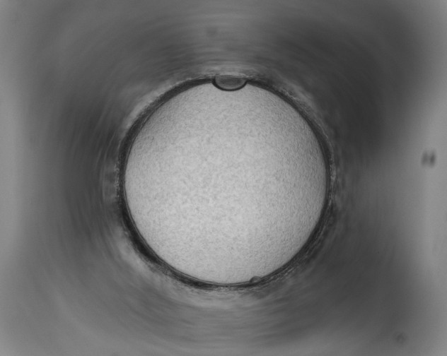 X0000114630012200911101246