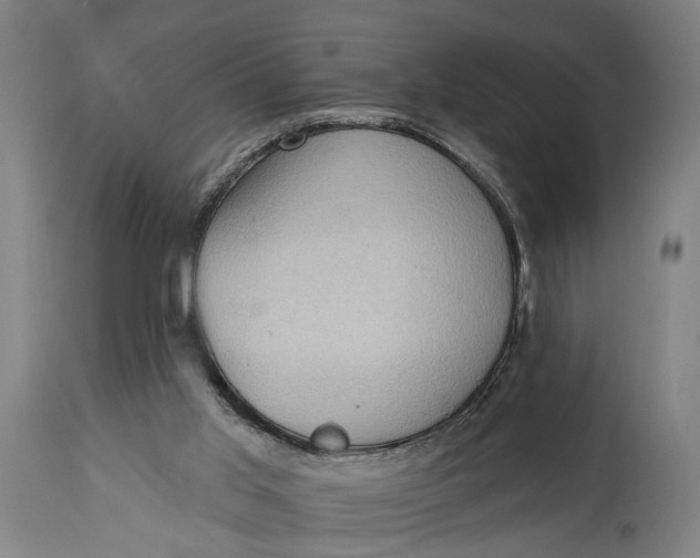 X0000114630013200911101246