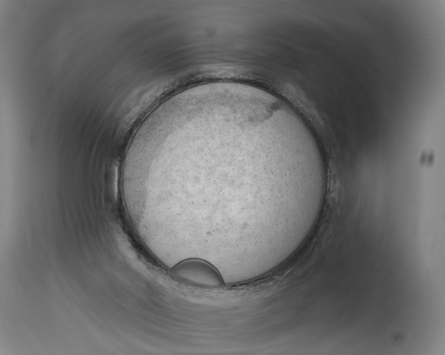 X0000114630014200911101246