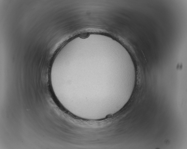 X0000114630015200911101246