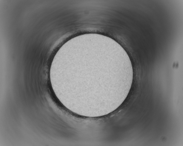 X0000114630016200911101246