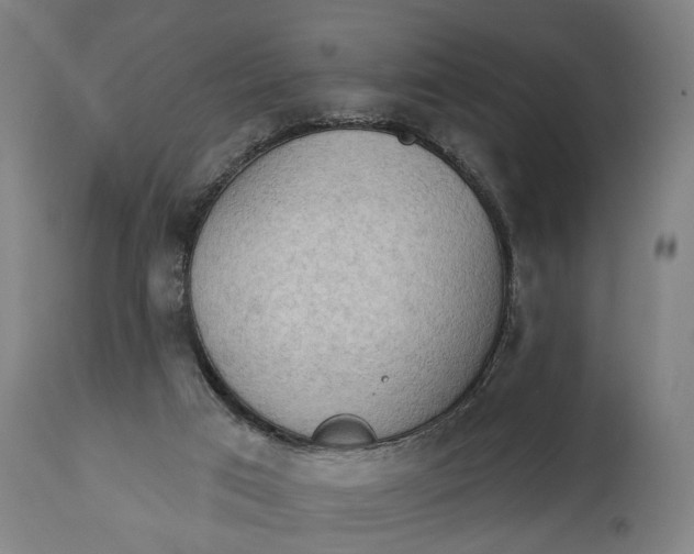 X0000114630017200911101246