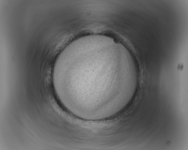 X0000114630018200911101246