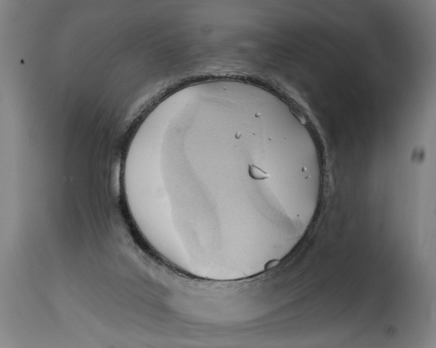 X0000114630019200911101246