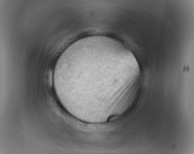 X0000114630022200911101246