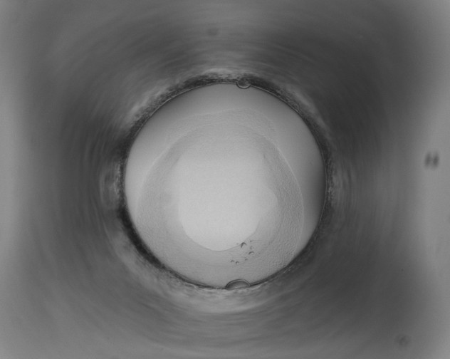 X0000114630023200911101246