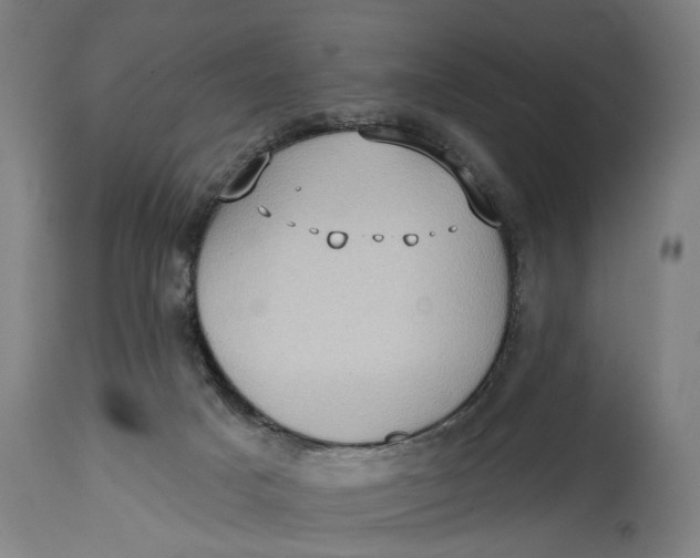 X0000114630025200911101246