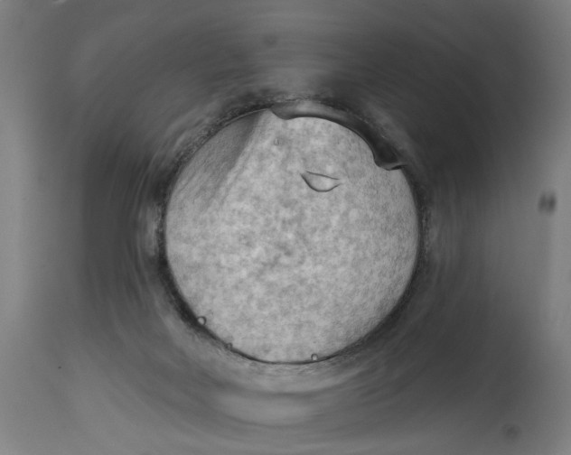 X0000114630026200911101246