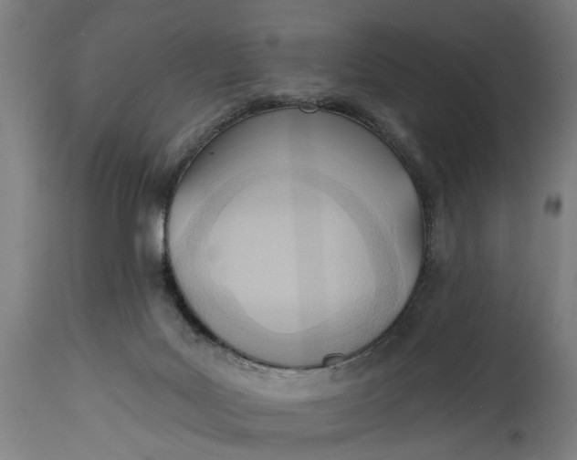 X0000114630027200911101246