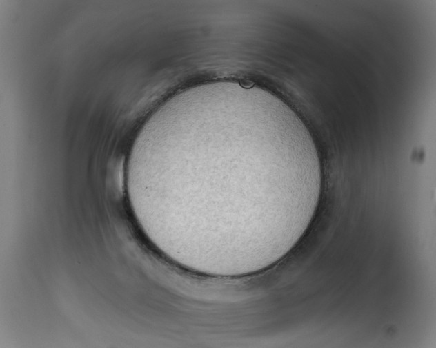 X0000114630028200911101246